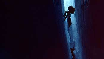 Illustration for article titled 35 Harrowing Man Vs Nature Movies, Ranked